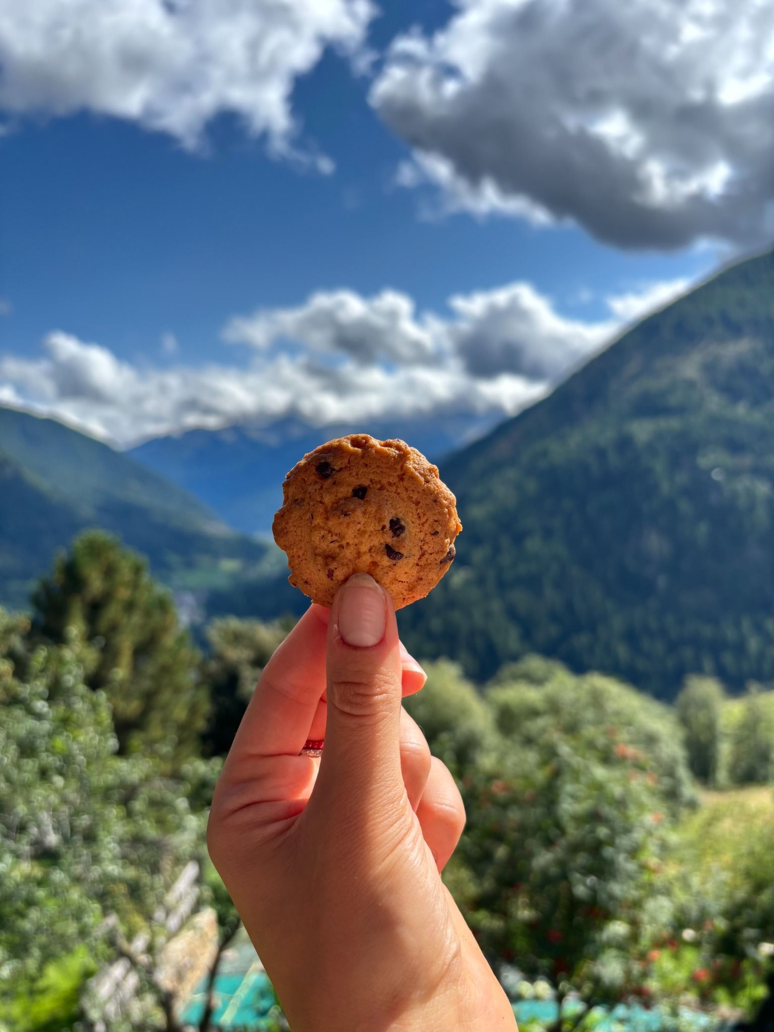 Biscotti Nocciola e Cioccolato artigianali