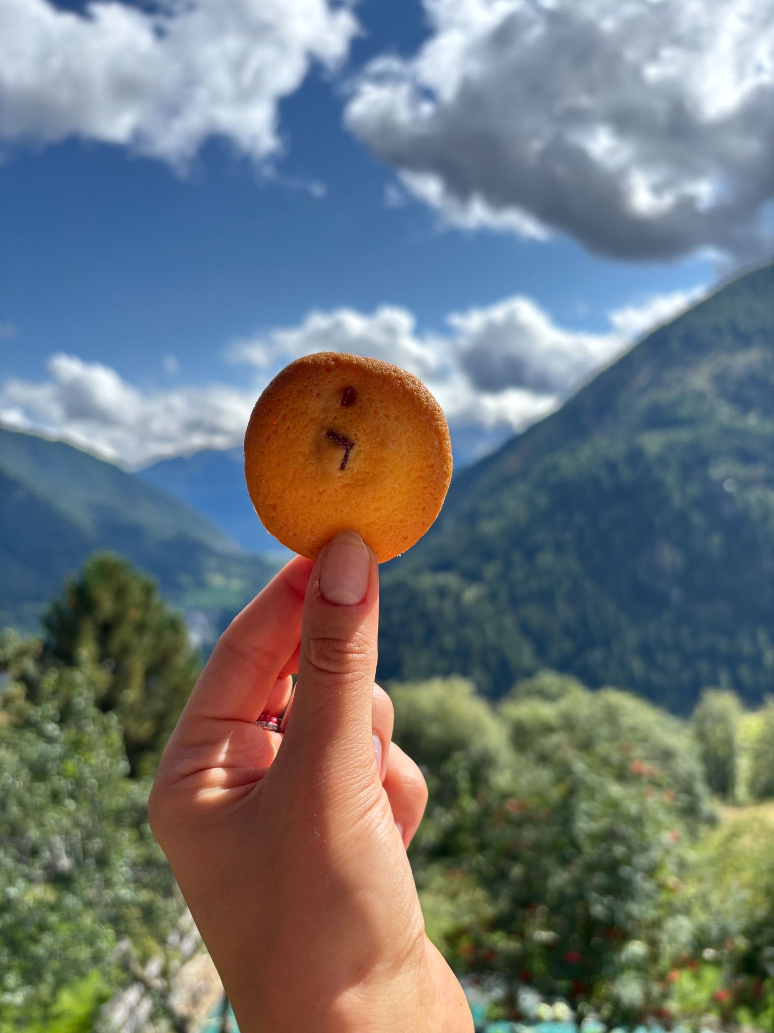 Biscotti ai Frutti di Bosco artigianali