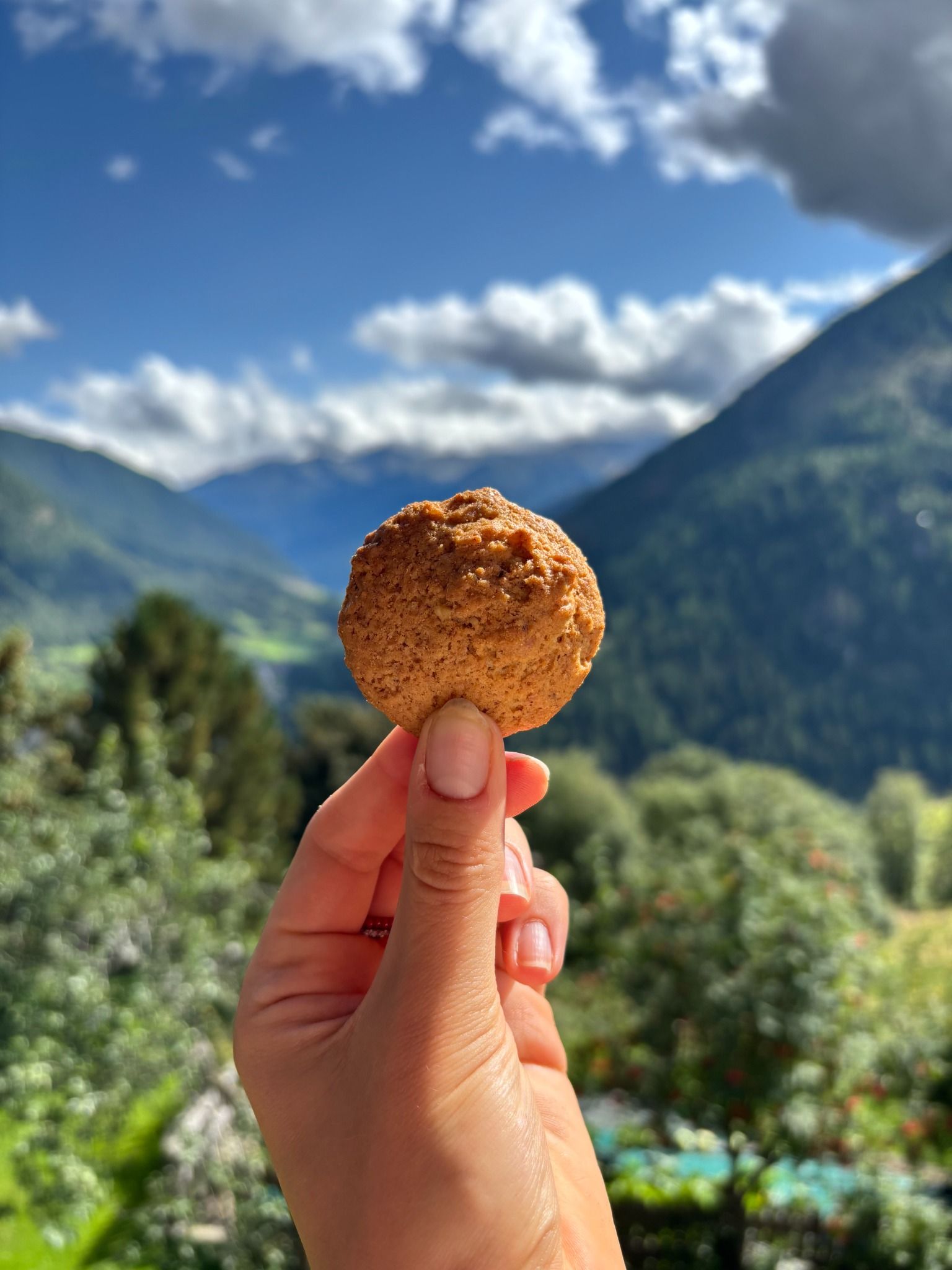 Biscotti Integrali alle Noci artigianali