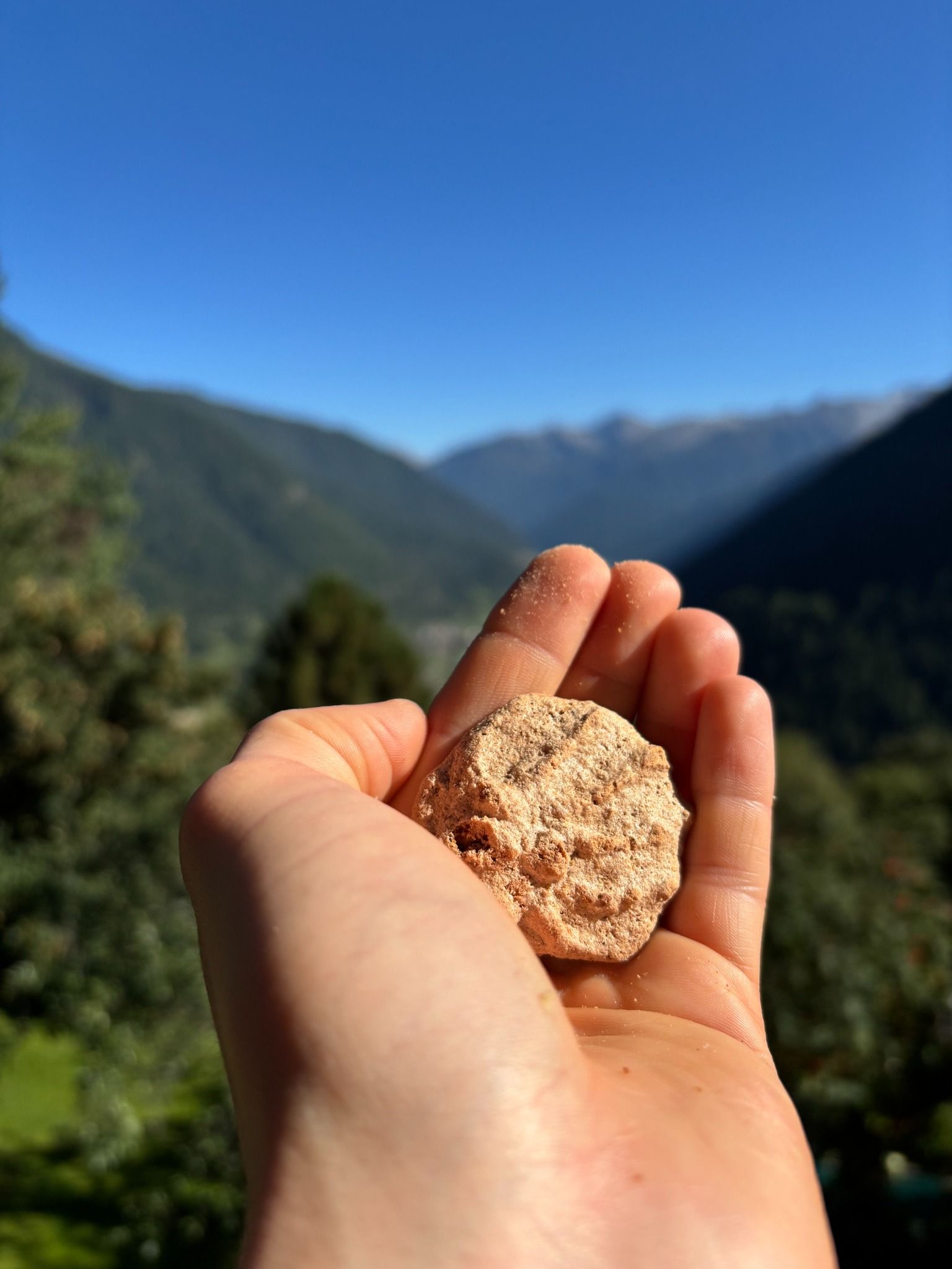 Biscotti Speziati alle mandorle artigianali